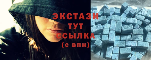 индика Слюдянка