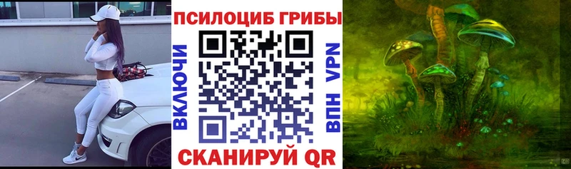kraken как зайти  Анадырь  Псилоцибиновые грибы Psilocybine cubensis 