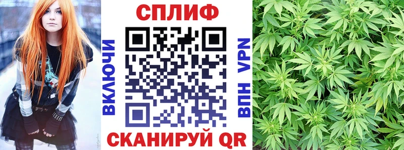 закладка  Анадырь  Канабис сатива 